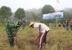 Kodim Klaten Tanam 1.000 Pohon Di Kemalang, Sambut HUT ke-81 TNI Dan HUT Ke-76 Kodam IV/Diponegoro