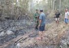 Api Lahap Ladang Kering Di Kemalang Klaten, Babinsa dan Damkar Cegah Kebakaran Meluas